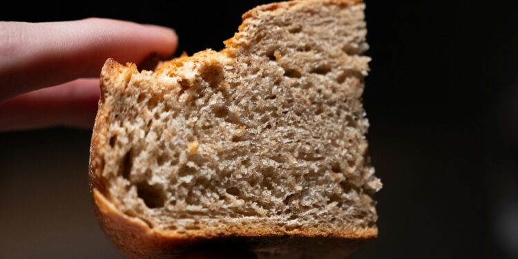 brood versus crackers