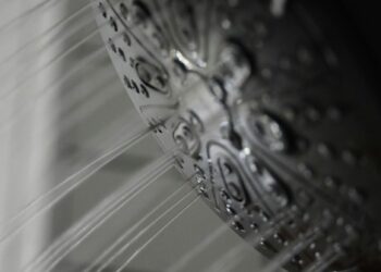 douchekop schoonmaken