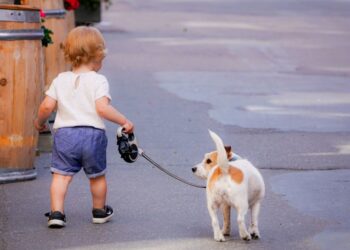 Hondenrassen en kinderen