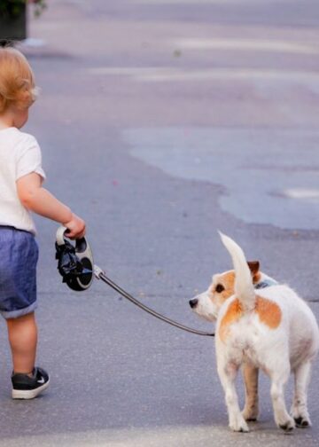 Hondenrassen en kinderen