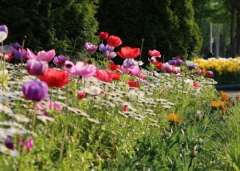 tuinieren met hooikoorts