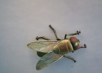 Vliegen uit huis houden