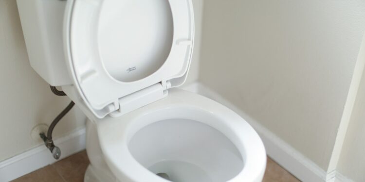 wc fris zonder blokjes